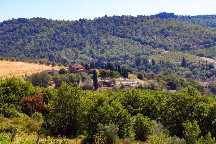 Casino di Sala, Chianti