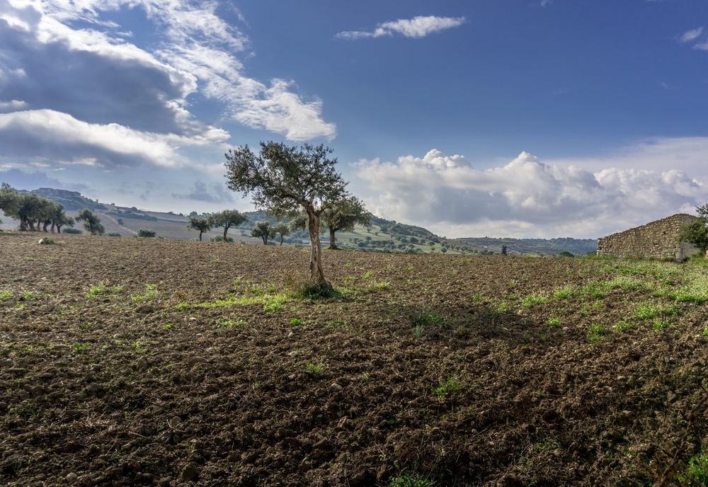 Farm Table Italy